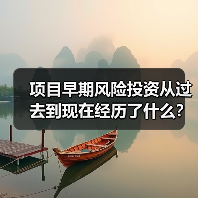 项目早期风险投资从过去到现在经历了什么?(图4) 项目早期风险投资从过去到现在经历了什么?(图4)