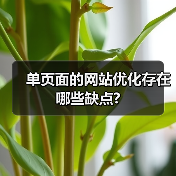 单页面的网站优化存在哪些缺点?(图4) 单页面的网站优化存在哪些缺点?(图4)