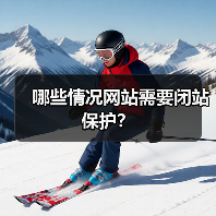 哪些情况网站需要闭站保护？