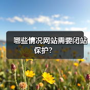 哪些情况网站需要闭站保护?(图3) 哪些情况网站需要闭站保护?(图3)