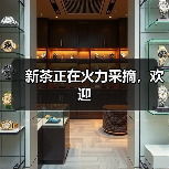 新茶正在火力采摘，欢迎（图3）