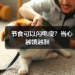 节食可以闪电瘦？当心越饿越胖（图1）
