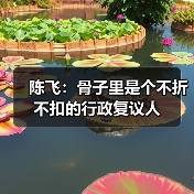 陈飞:骨子里是个不折不扣的行政复议人(图4) 陈飞:骨子里是个不折不扣的行政复议人(图4)