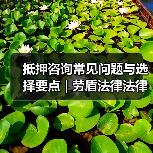 抵押咨询常见问题与选择要点 | 劳盾法律法律指南（图1）
