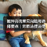 抵押咨询常见问题与选择要点 | 劳盾法律法律指南（图3）